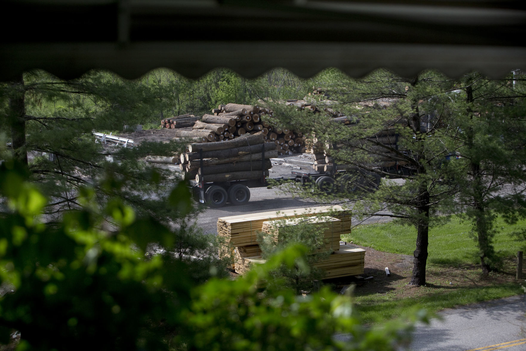Sawmill dust